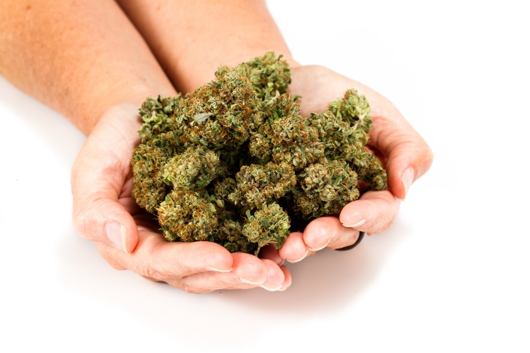fleur cbd qualite